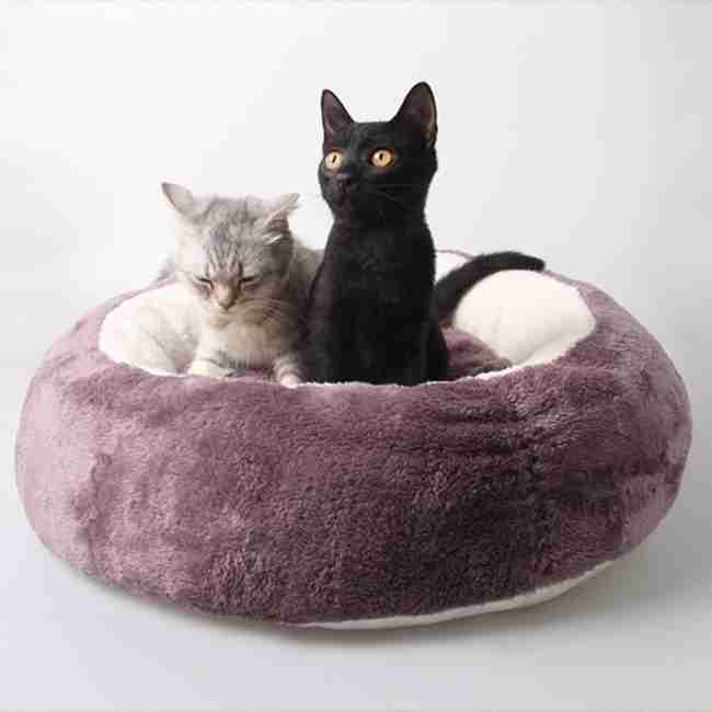 new pet bed  for dog and cat