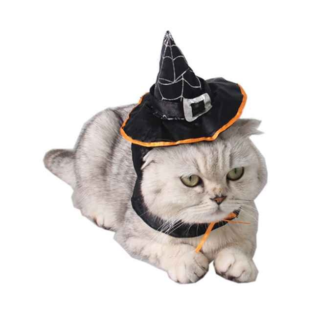 Pet Halloween  Magic Witch Hat