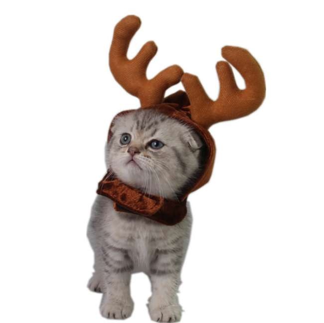 Pet Cat Christmas Deer Hat