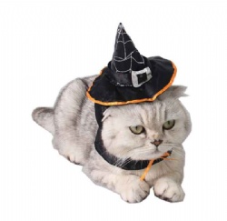 Pet Halloween  Magic Witch Hat